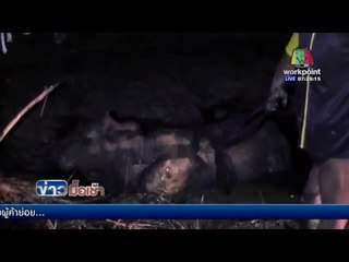 วัวพลัดตกคลองขาหัก คนเลี้ยงอ้างรักษาไม่ได้ เตรียมส่งโรงเชื้อ l ข่าวมื้อเช้า l 4 มีนาคม  59