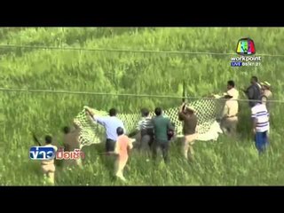 อินเดีย จนท.ป่าไม้ไล่ปล้ำ "เสือดาว" ก่อนตัดสินใจปลิดชีพ | ข่าวมื้อเช้า l 8 มี.ค. 59