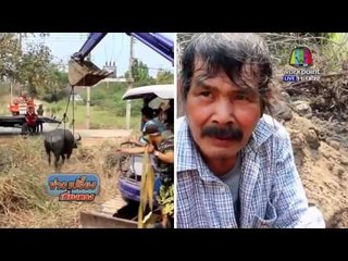 นาทีชีวิต ช่วยควายเพศเมียตกบ่อร้างนานกว่า 6 วัน  l ข่าวเปรี้ยงเที่ยงตรง l 15  มี.ค. 59