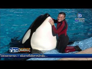 สวนน้ำ ซีเวิลด์ ยุติการเพาะพันธุ์วาฬเพชรฆาต เพื่อทำการแสดง | ข่าวต้นชั่วโมง | 18 มี.ค. 59