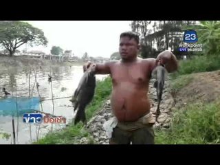 น้ำเสียคลองรังสิตปลาลอยชาวบ้านแห่กันจับได้ l ข่าวมื้อเช้า l 1 เม.ย. 59