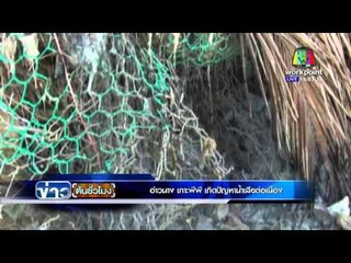 อ่าวนาง เกาะพีพี เกิดปัญหาน้ำเสียต่อเนื่อง | ข่าวต้นชั่วโมง | 25 มี.ค. 59