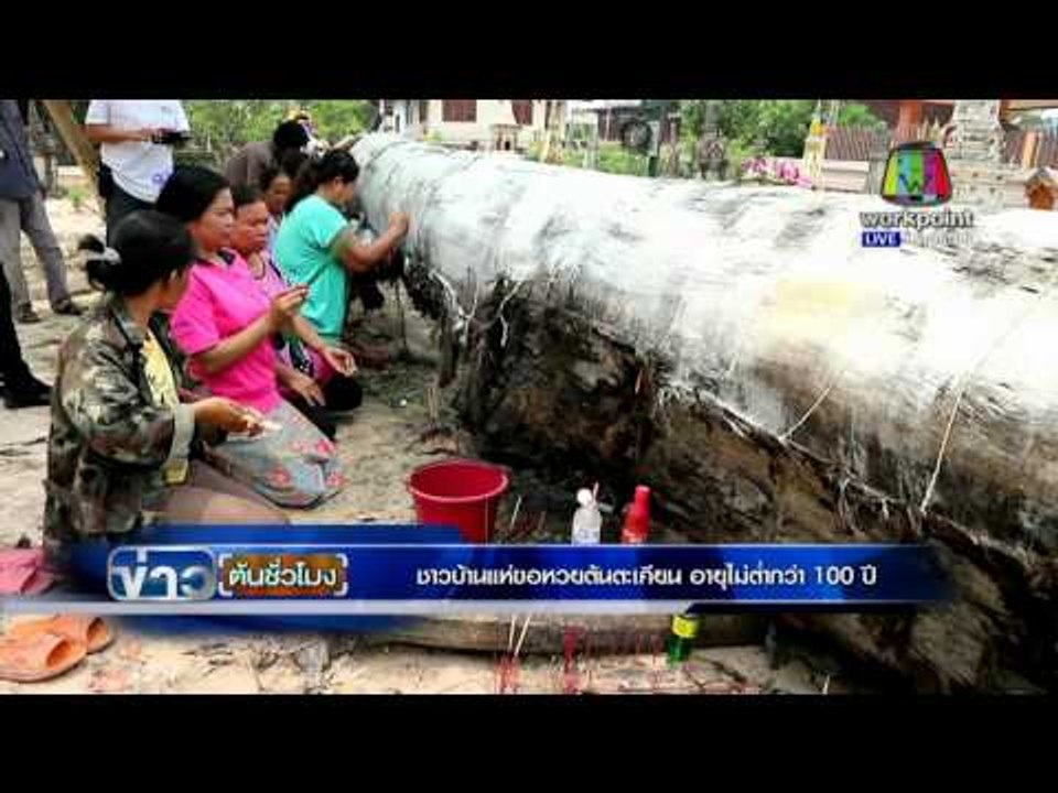 ชาวบ้านแห่ขอหวยต้นตะเคียน อายุไม่ต่ำกว่า 100 ปี | ข่าวต้นชั่วโมง | 31 มี.ค. 59