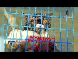 ทารุณมั้ย หนุ่มจับแมวใส่กรงแช่ทะเล  l ข่าวมื้อเช้า l 19 เม.ย.59