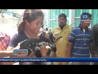 กู้ภัยช่วย2ตูบติดท่อน้ำวัด นาน 6 ชม l ข่าวเปรี้ยงเที่ยงตรง  l 18 เม.ย.59