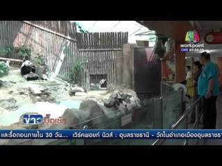 สวนสัตว์เชียงใหม่ใช้น้ำแข็งช่วยสัตว์คลายร้อน l ข่าวมื้อเช้า l 27 เม.ย. 59