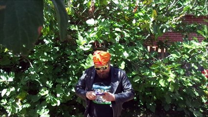 MattySlug's DailyMotion Introduction Video! His 1st Upload on DailyMotion!!!