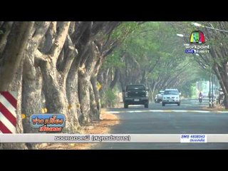 ถนนอุโมงค์ต้นไม้ พิจิตร  | ข่าวเปรี้ยงเที่ยงตรง | 27 เม.ย. 59