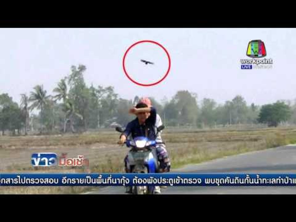 นกอีแว้นดุไล่จิกชาวบ้านขี่จยย.  ผ่านไปมาเจ็บ l...
