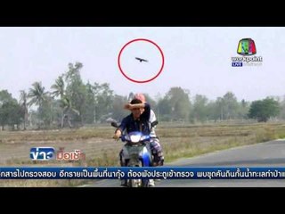 นกอีแว้นดุไล่จิกชาวบ้านขี่จยย.  ผ่านไปมาเจ็บ l ข่าวมื้อเช้า l 28 เม.ย. 59