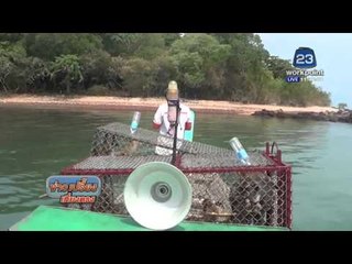 นำลิงสตูลปล่อยเกาะร้าง  | ข่าวเปรี้ยงเที่ยงตรง | 4 พ.ค. 59