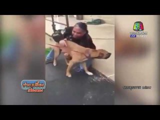 เจ้าตูบดีใจสุดขีดเมื่อเจอเจ้าของ หลังโดนขโมยไป 2 ปี  | ข่าวเปรี้ยงเที่ยงตรง | 12 พ.ค. 59