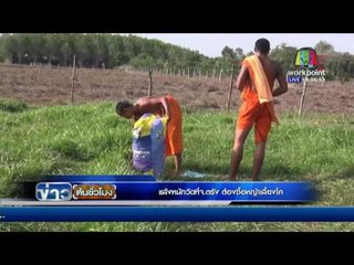 แล้งหนักวัดที่จ ตรังต้องซื้อหญ้าเลี้ยงโค  | ข่าวต้นชั้วโมง 13  พค. 59