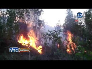 ไฟไหม้ป่าเสม็ด จนท ระดมดับไฟ | ข่าวต้นชั่วโมง | 18 พ.ค. 59