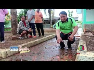 หนอนบุกโรงเรียน  ข่าวมื้อเช้าสุดสัปดาห์  29 พค 59