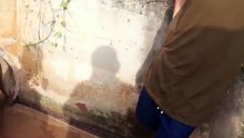 Homem mergulha em tubo de esgoto cheio de porcaria para resgatar cãezinhos filhotes