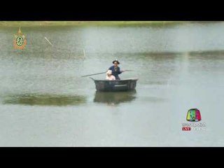 ประมงรุดจับจระเข้โผล่สระน้ำผลิตประปา | ข่าวเปรี้ยงเที่ยงตรง | 22 ก.ค. 59