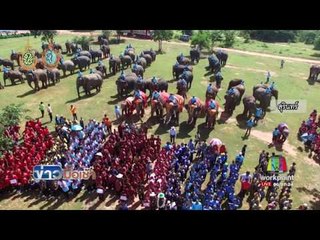 ช้างกว่า 200 เชือกร่วมแปรอักษรวันแม่ l ข่าวมื้อเช้า l 10 ส.ค.59