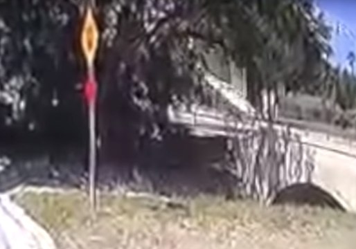 Small Plane Crash Lands on Florida Street