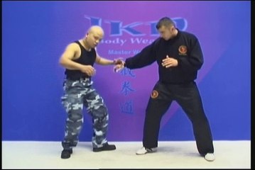 Jeet Kune Do with Michael Wong 1 - Body Weapon 2