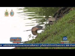 กทม ลุยจับ  “ตัวเหี้ย” สวนลุมฯ | ข่าวเปรี้ยงเที่ยงตรง | 20 ก.ย. 59