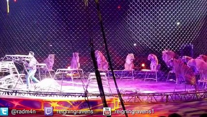 Lions and Tigers! | Chicago Ringling Brothers Circus