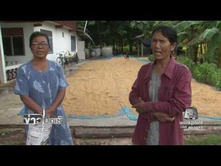 ราคาข้าวเปลือกตกต่ำในรอบ 50 ปี วอนนายกรัฐมนตรีช่วย l ข่าวมื้อเช้า l 28 ต.ค.59