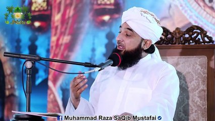 Muhammad Raza Saqib Mustafai - Marne K Baad Kin K Chehre Taro-Taza Rehte Hain