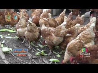 โคราช หนุ่มป ตรีใช้ชีวิตเกษตรพอเพียง  | ข่าวเปรี้ยงเที่ยงตรง | 10 ต.ค. 59