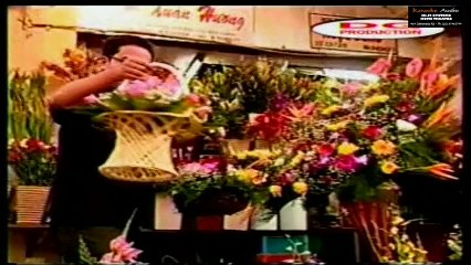 Vai Phụ - Hoàng Châu | Tuyển Tập Những Ca Khúc Việt Nam Hay Nhất 🎶