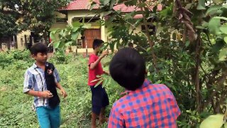 Wow! Brave Boys Catch A Big Village Snake While They Are Collecting Guava Fruit In My Village
