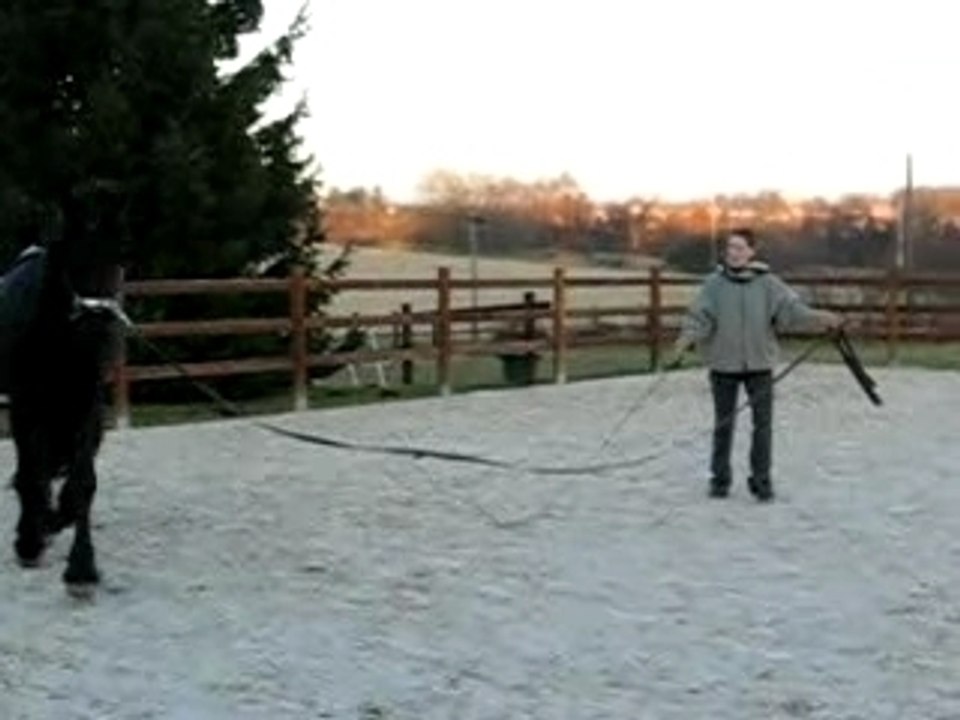 Reitse à la longe 1