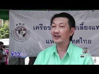 ข่าวแก้จน เลี้ยงแพะ l ข่าวเวิร์คพอยท์ (เช้า) l 1 ธ.ค.59