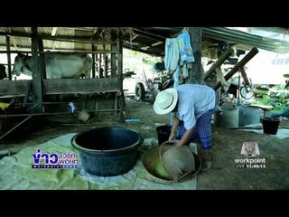 ข่าวแก้จน ชาวบ้านยโสธรทำข้าวเม่าส่งจำหน่ายเป็นรายได้ l ข่าวเวิร์คพอยท์ l 30 พ.ย.59