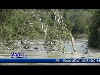 ตรัง พนังกั้นน้ำพังทำเดือดร้อนเพิ่ม l ข่าวเวิร์คพอยท์ (เที่ยง) l 9 ธ.ค.59