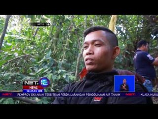 Bunga Bangkai Raksasa Mekar Kembali - NET 12