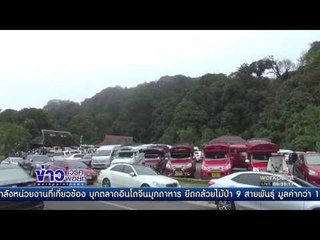 ห้วยน้ำดัง อินทนนท์ พร้อมใจอวดทะเลหมอกสวยงาม l ข่าวเวิร์คพอยท์ (เช้า) l 19 ธ.ค.59