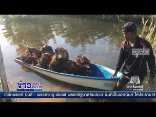 น้ำท่วมเกาะสมุยครั้งที่ 3 ในรอบ 1 เดือนl ข่าวเวิร์คพอยท์ l 18 ธ.ค. 59
