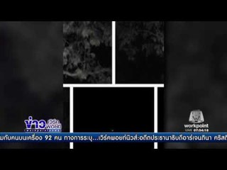 กระสือหรือคน โผล่บนต้นไม้ที่สุรินทร์  l ข่าวเวิร์คพอยท์ (เช้า) l 29 ธ.ค.59