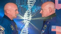 Identical twins no more! Brother's DNA changes year in space