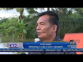 สดจาก ต กรูด อ พุนพิน จังหวัดสุราษฎร์ธานี l ข่าวเวิร์คพอยท์ l  14 ม.ค. 60