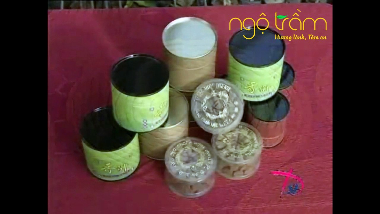 PHIM TÀI LIỆU VỀ CÂY DÓ BẦU VÀ TRẦM HƯƠNG VIỆT NAM (PHẦN 2) - VIETNAMESE AGARWOOD - NGỘ TRẦM