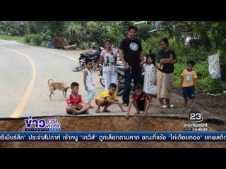 ผู้ว่าฯ กระบี่นำทีมเตรียมถมสะพานเข้าอุทยาน คาด 7 วันเสร็จl ข่าวเวิร์คพอยท์ (15.00น.)l 16 ม.ค.60