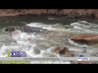 เพื่อนเจ้านาเดียวชาวออสซี่ เล่นน้ำตกอย่างเพลิดเพลินใจ l ข่าวเวิร์คพอยท์ (เช้า) l 19 ม.ค.60