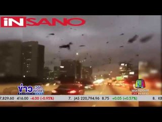 ฝูงกามหาศาลบินว่อนถนนหลวงสหรัฐฯl ข่าวเวิร์คพอยท์ (เที่ยง) l 27 ม.ค.60