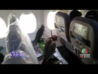 เจ้าชายซาอุฯซื้อตั๋วเครื่องบินให้เหยี่ยว 80 ตัวของพระองค์ l ข่าวเวิร์คพอยท์ (เช้า) l 1 ก.พ.60