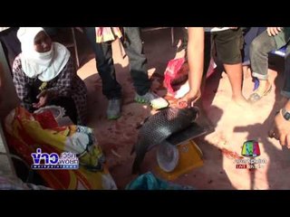 ชาวบ้านนับ 1,000 คน แห่แข่งขันทอดแหจับปลากันคึกคัก l ข่าวเวิร์คพอยท์ l 13 ก.พ.60