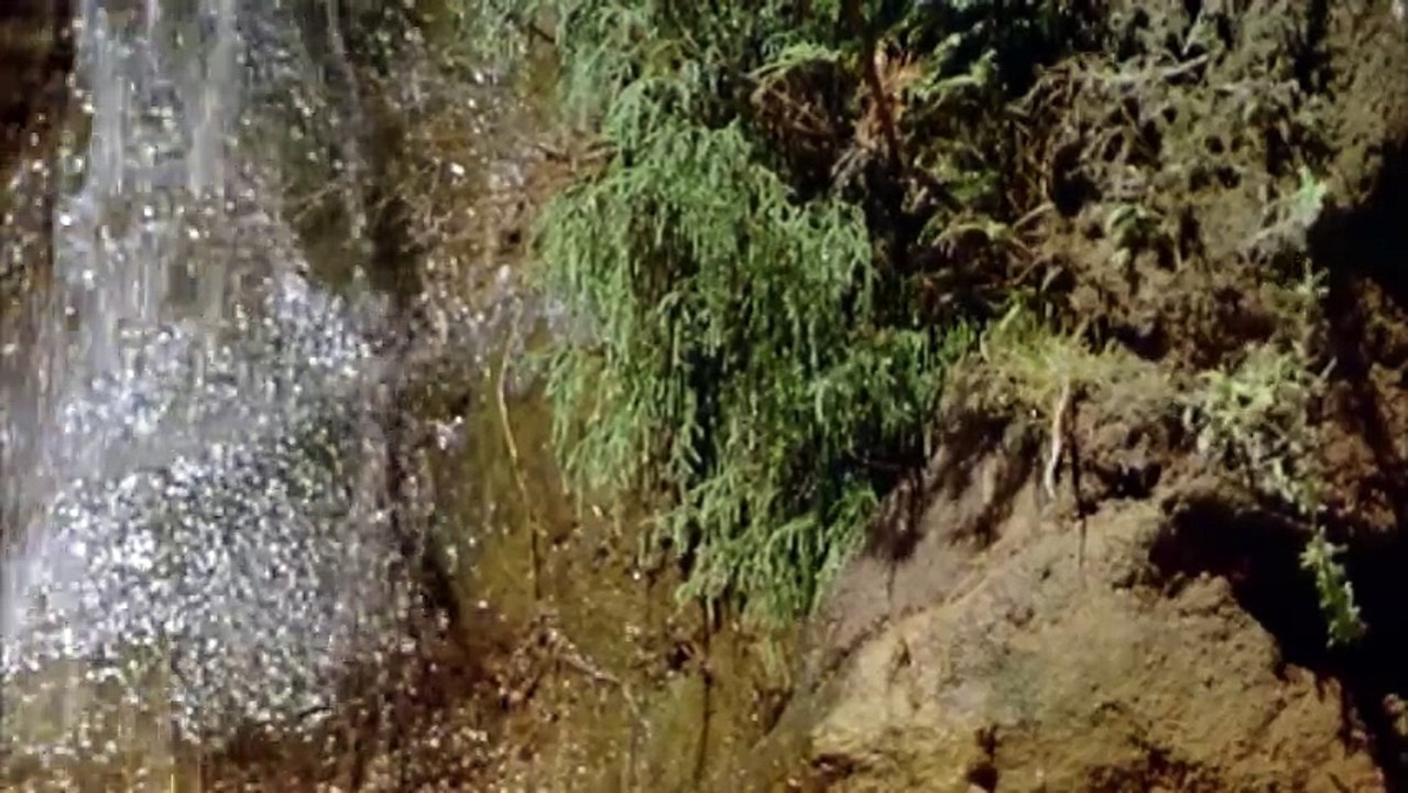 IMAX Wild Australia The Edge 1996 720p