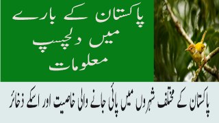 Amazing Fact About Pakistan In Urdu Pakistan Ke Bare Ma Dilchasp Maloomat