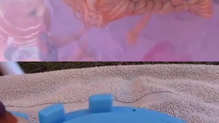 Pool Fun! Elsa & Anna Toddlers Big Barbie pool party Chelsea Mermaid Pranks Dolls Windsurfing Slide